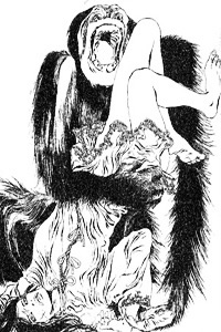 Auguste Dupin - I delitti della Rue Morgue