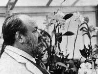 Nero Wolfe - William Conrad (1981)